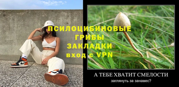 PSILOCYBIN Абаза