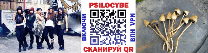 Псилоцибиновые грибы мухоморы  цена наркотик  Александровск-Сахалинский 